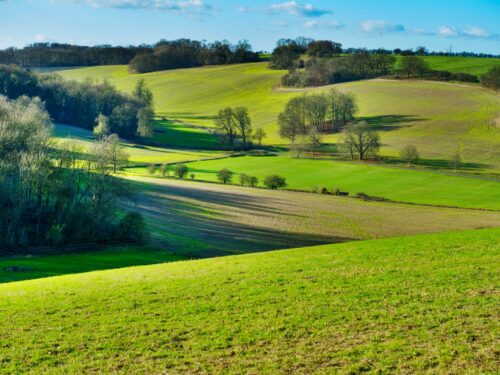 green grass field during daytime