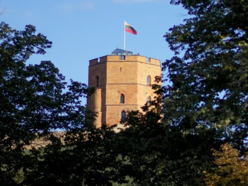 Patriotizmas: meilė gimtinei ar meilė valstybei?