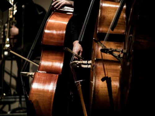 person playing cello