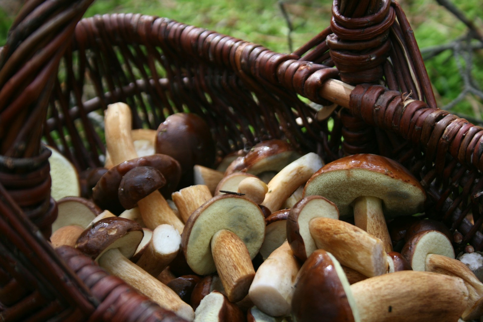 a basket filled with lots of different types of mushrooms