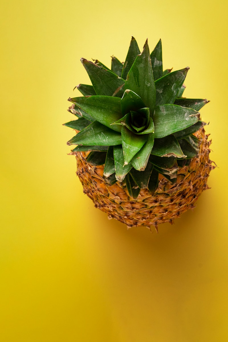 green and brown pineapple fruit