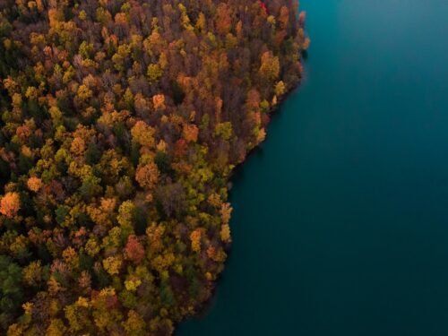 Ar lietuvių tautai lemta išnykti?
