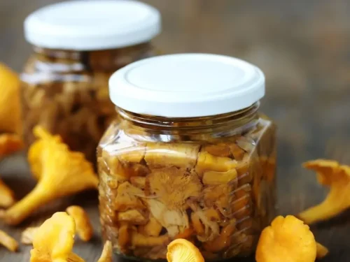 Kaip voveraites laikyti kelias dienas ir žiemai, kaip išsaugoti voveraites žiemai,  kaip šaldiklyje laikyti šviežias voveraites žiemai, ir kiek laiko šaldytos voveraitės gali būti laikomos šaldiklyje