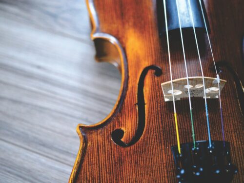 brown and black violin