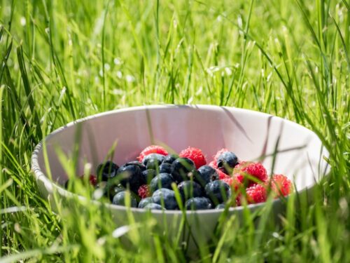 blueberry and raspberry on white bowl