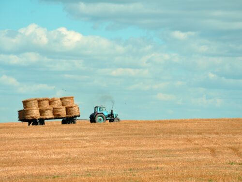 brown hay on tractor under white and blue sky during daytime