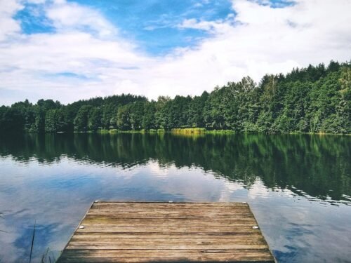 Ar mylit Lietuvą jūs?