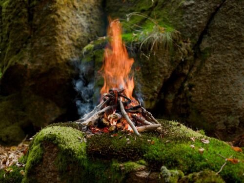 Campfire burning on mossy rocks in forest