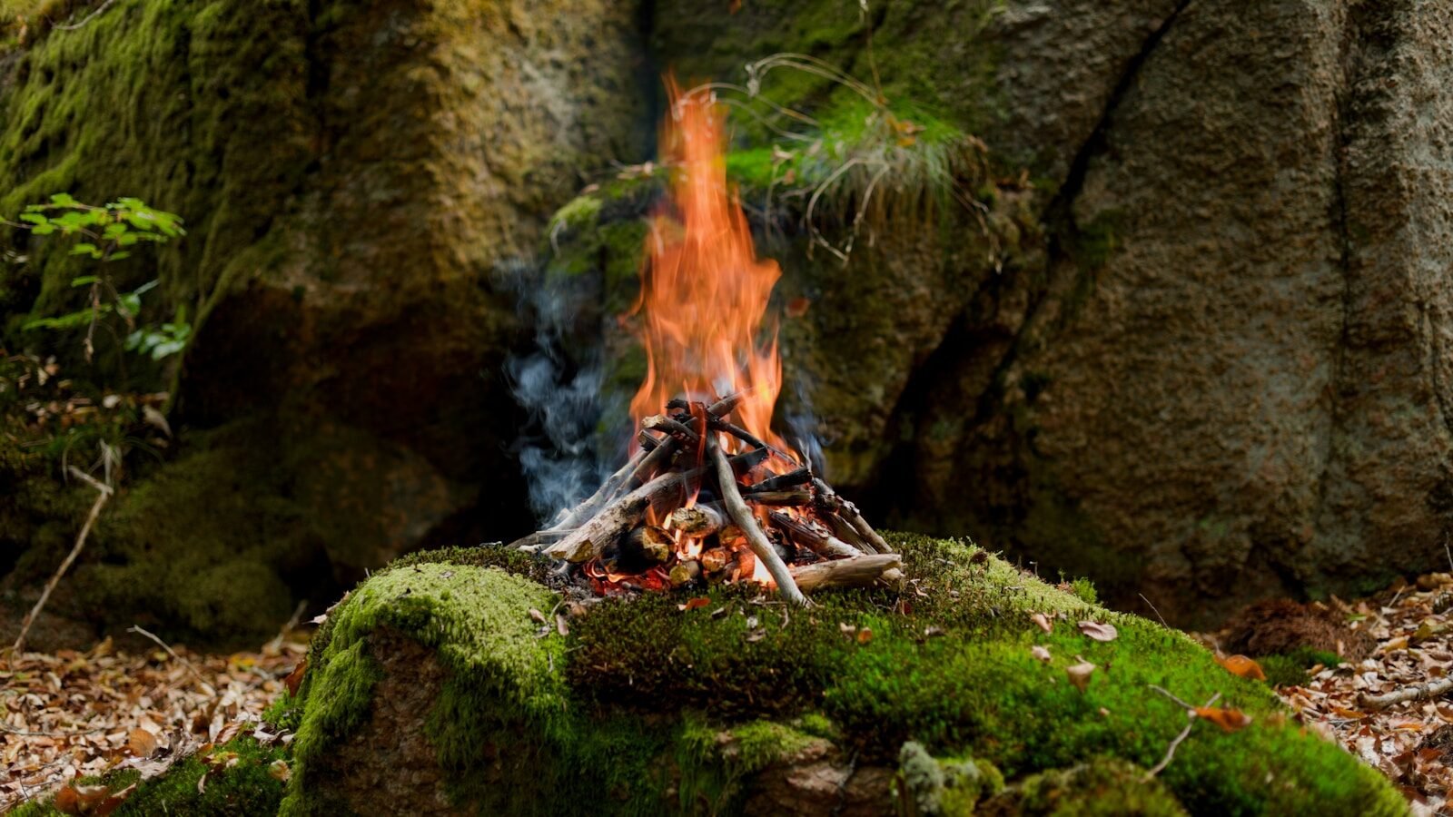 Campfire burning on mossy rocks in forest