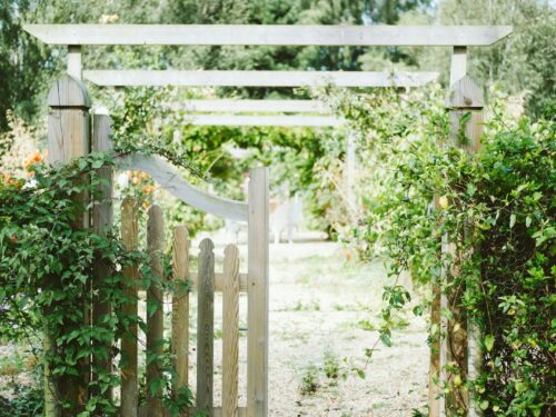 beige wooden fence covered with green vine plants