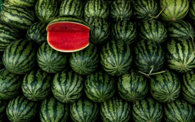 a large pile of watermelon with a piece of watermelon on top