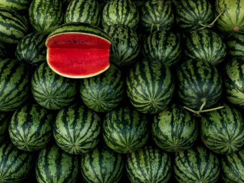 a large pile of watermelon with a piece of watermelon on top