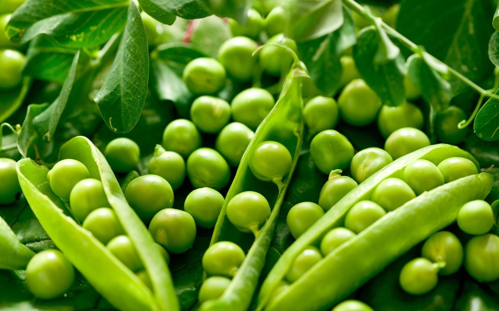 Zalieji zirneliai.jpg